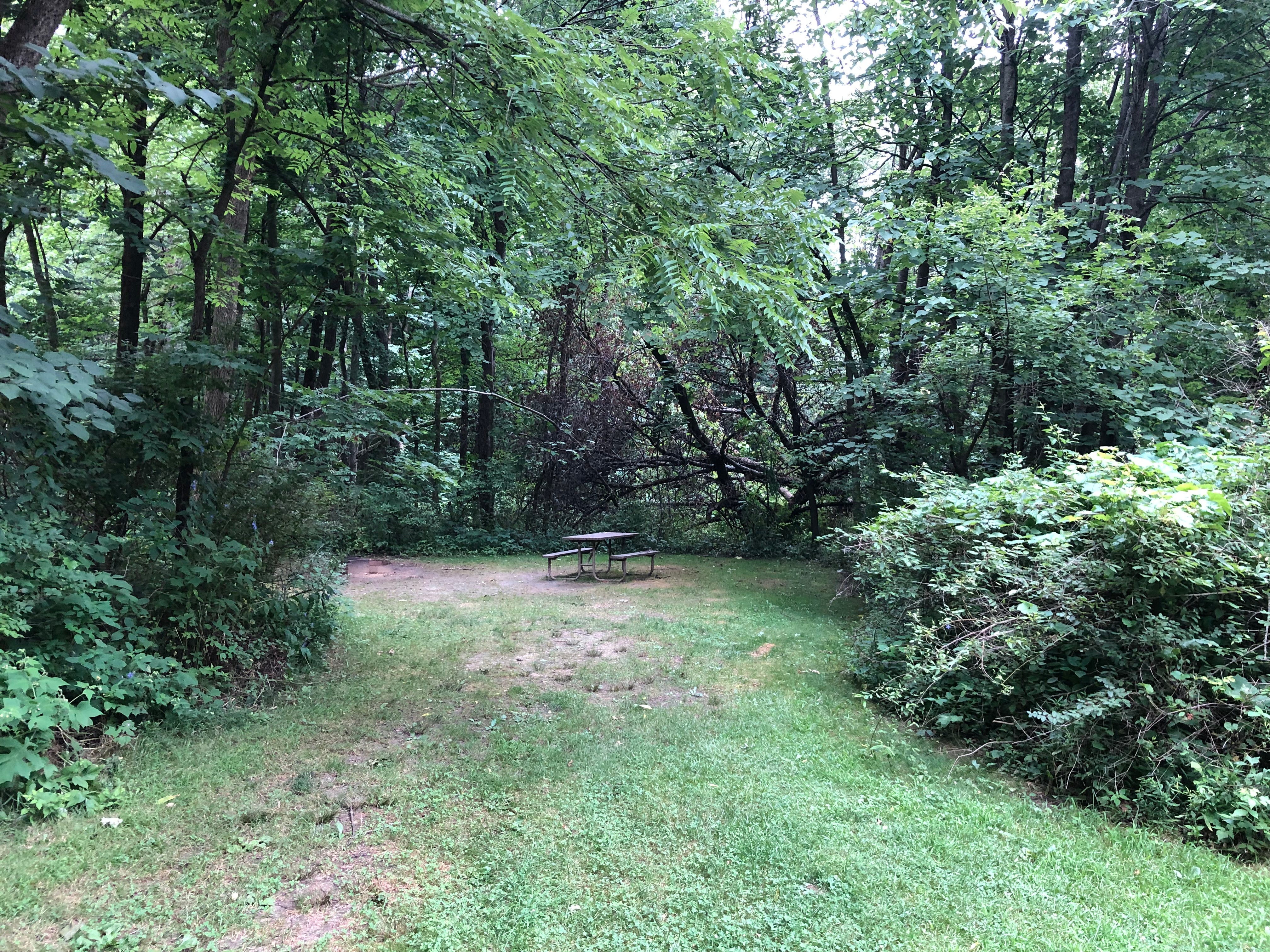 Camper submitted image from Canyon Ridge Campground — Apple River Canyon State Park - 2