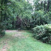 Review photo of Canyon Ridge Campground — Apple River Canyon State Park by Art S., July 31, 2020