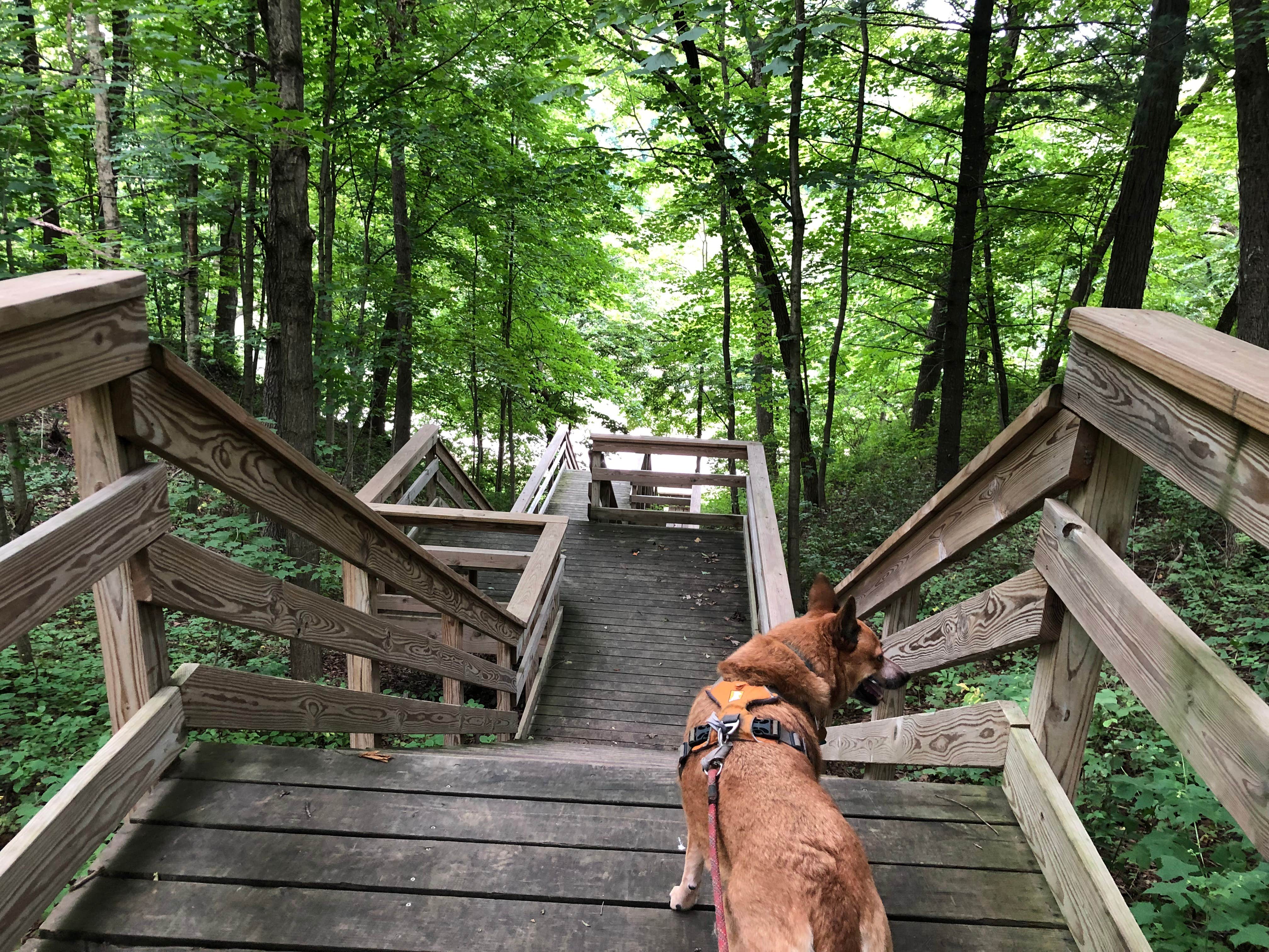 Camper-submitted photo at Canyon Ridge Campground — Apple River Canyon State Park near Lena, IL
