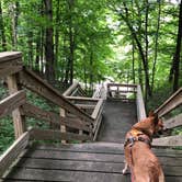 Review photo of Canyon Ridge Campground — Apple River Canyon State Park by Art S., July 31, 2020