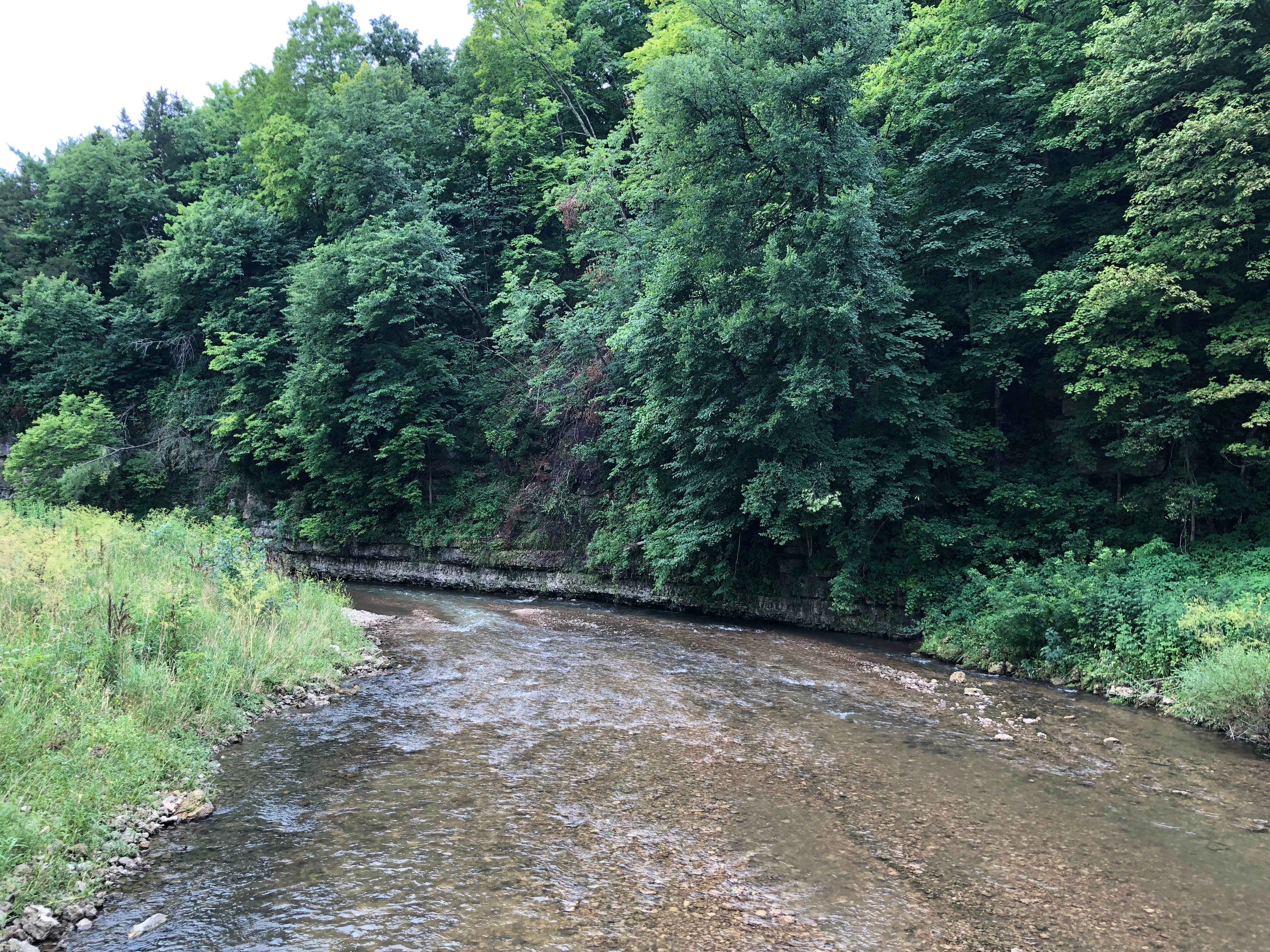 Camper-submitted photo at Canyon Ridge Campground — Apple River Canyon State Park near Lena, IL