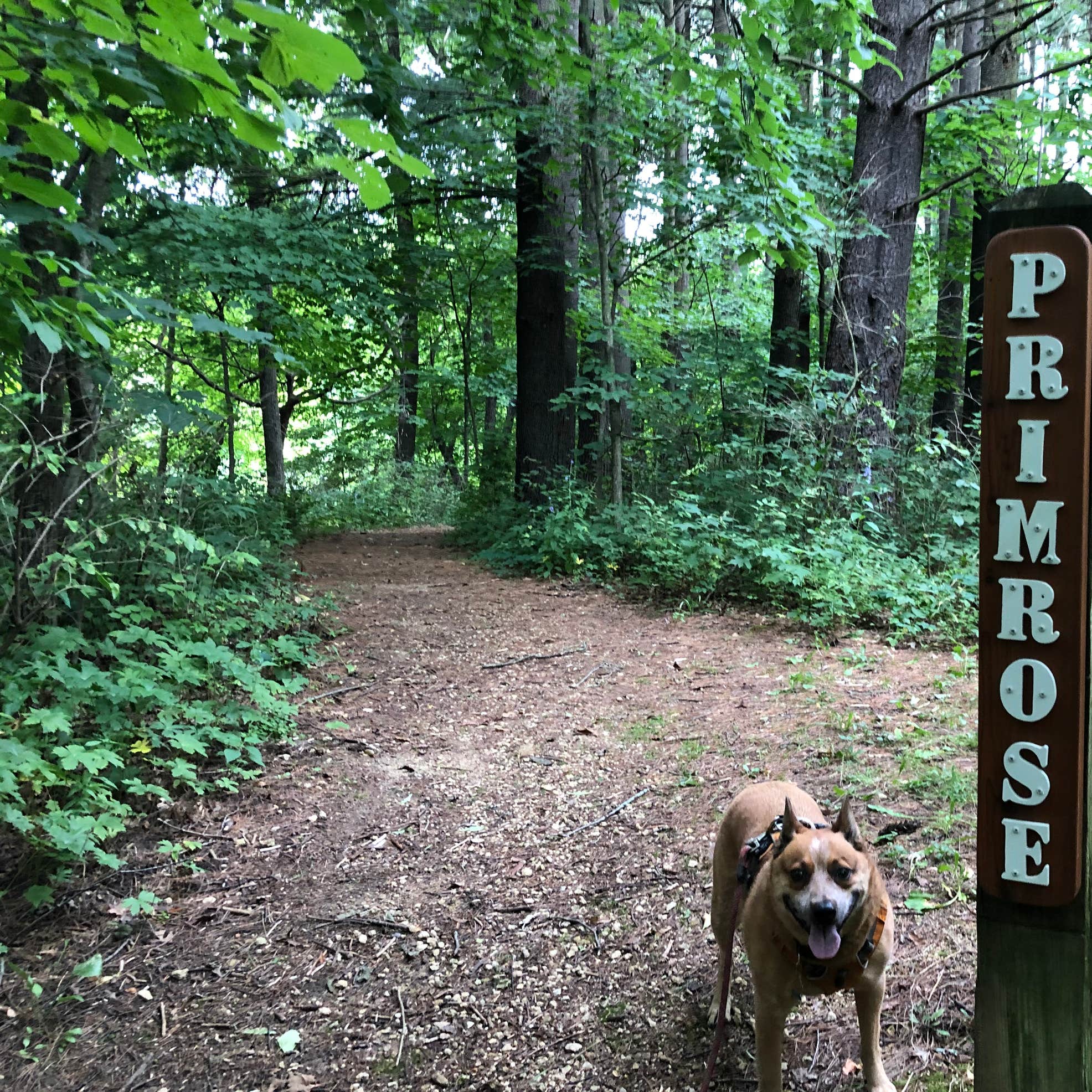 Apple River Canyon State Park Camping | Apple River, IL | The Dyrt