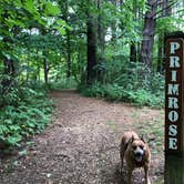 Review photo of Canyon Ridge Campground — Apple River Canyon State Park by Art S., July 31, 2020