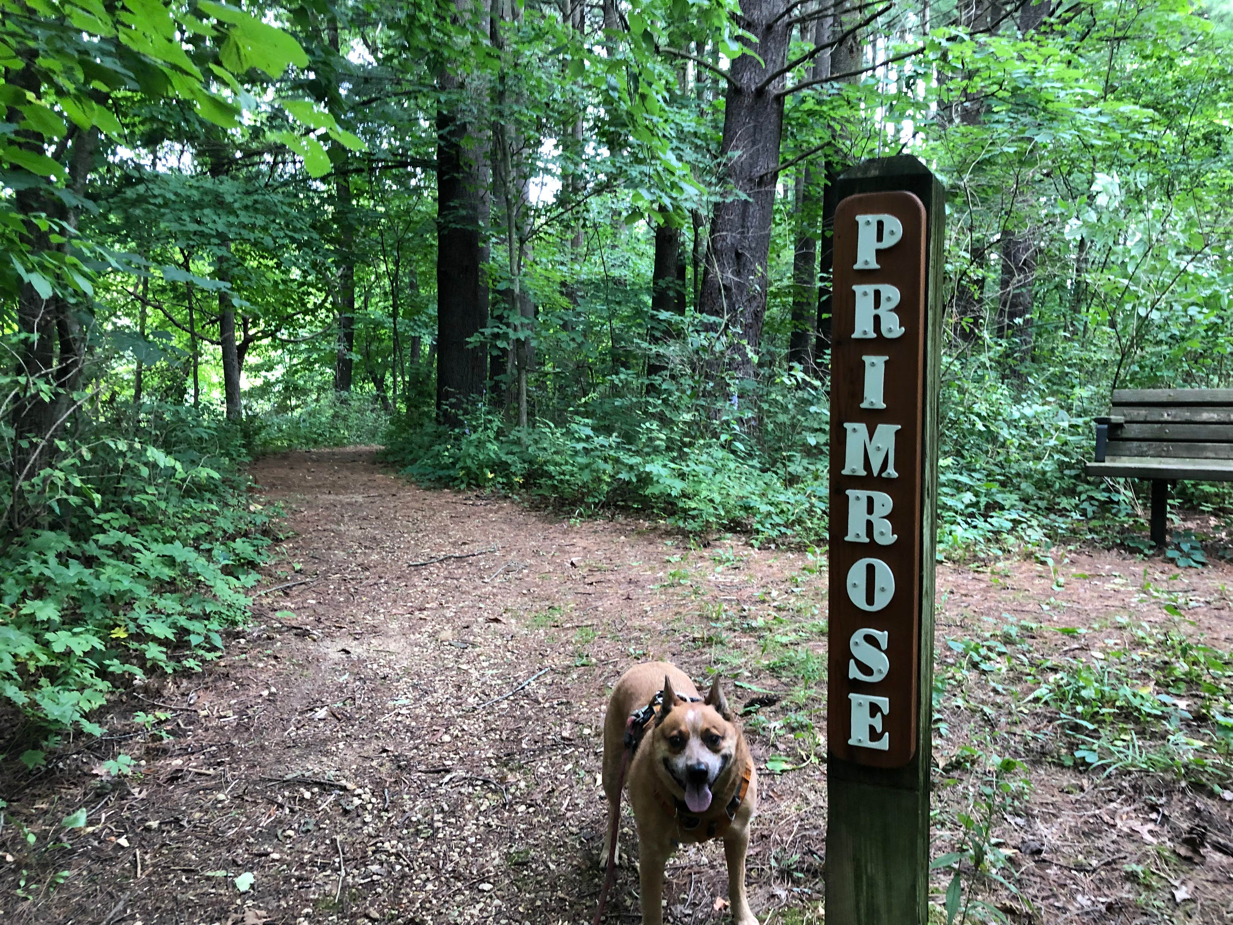 Camper submitted image from Canyon Ridge Campground — Apple River Canyon State Park - 4