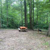 Review photo of Tygart Lake State Park Campground by Sheila P., July 31, 2020