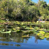 Review photo of Lake Griffin State Park Campground by Joanne W., July 31, 2020