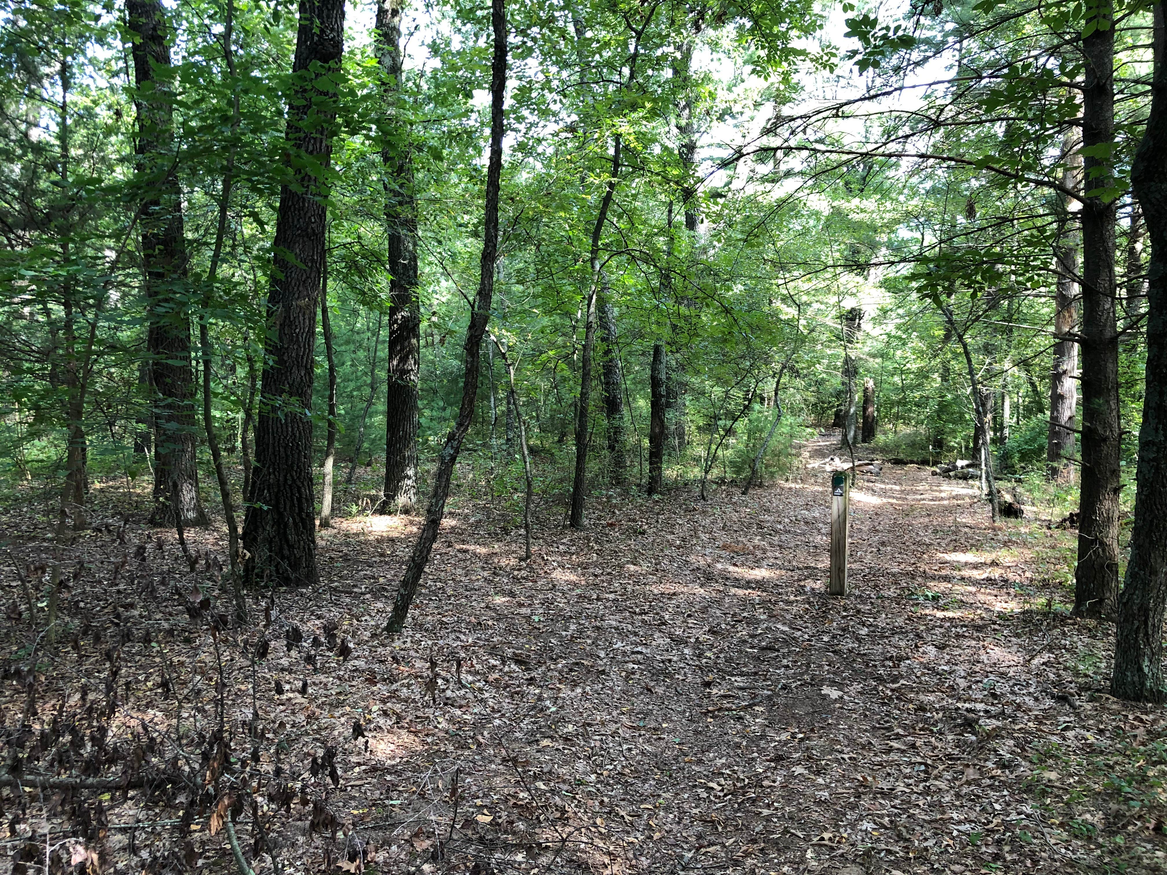 Sand Ridge State Forest The Dyrt