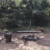 Review photo of Pine Campground — Sand Ridge State Forest by Art S., July 31, 2020