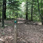 Review photo of Pine Campground — Sand Ridge State Forest by Art S., July 31, 2020