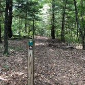 Review photo of Pine Campground — Sand Ridge State Forest by Art S., July 31, 2020