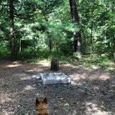 Review photo of Pine Campground — Sand Ridge State Forest by Art S., July 31, 2020