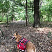 Review photo of Pine Campground — Sand Ridge State Forest by Art S., July 31, 2020