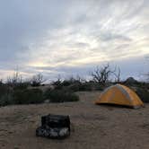Review photo of Mid Hills Campground — Mojave National Preserve by Lauren S., April 4, 2018