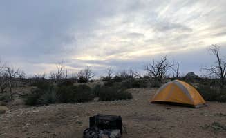 Lauren S.'s photo at Mid Hills Campground — Mojave National Preserve near Baker, CA