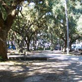 Review photo of Palmetto Ridge Campground — Myakka River State Park by Jeanene A., July 4, 2016