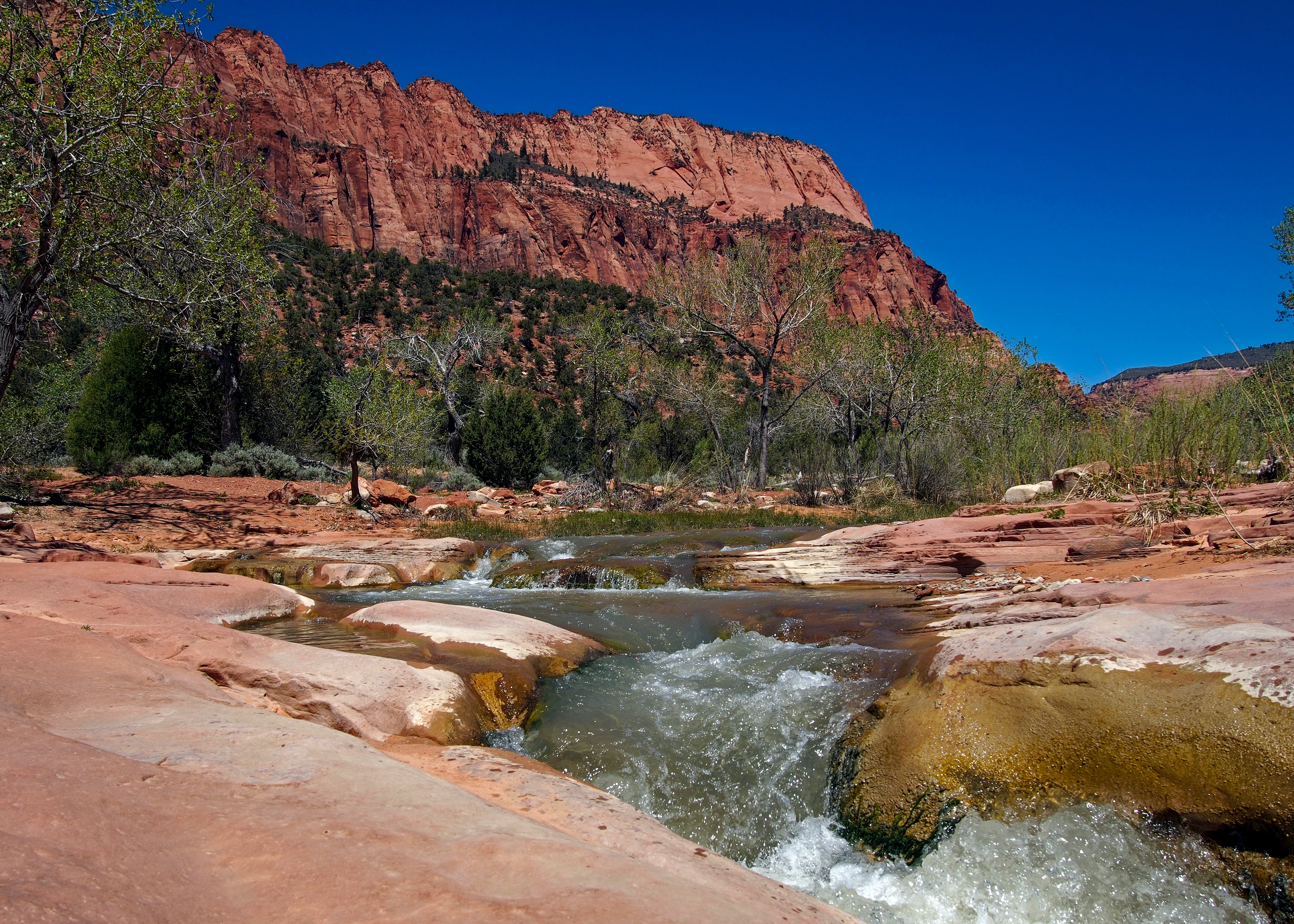 Camper submitted image from La Verkin Creek Trail Campsites — Zion National Park - 3
