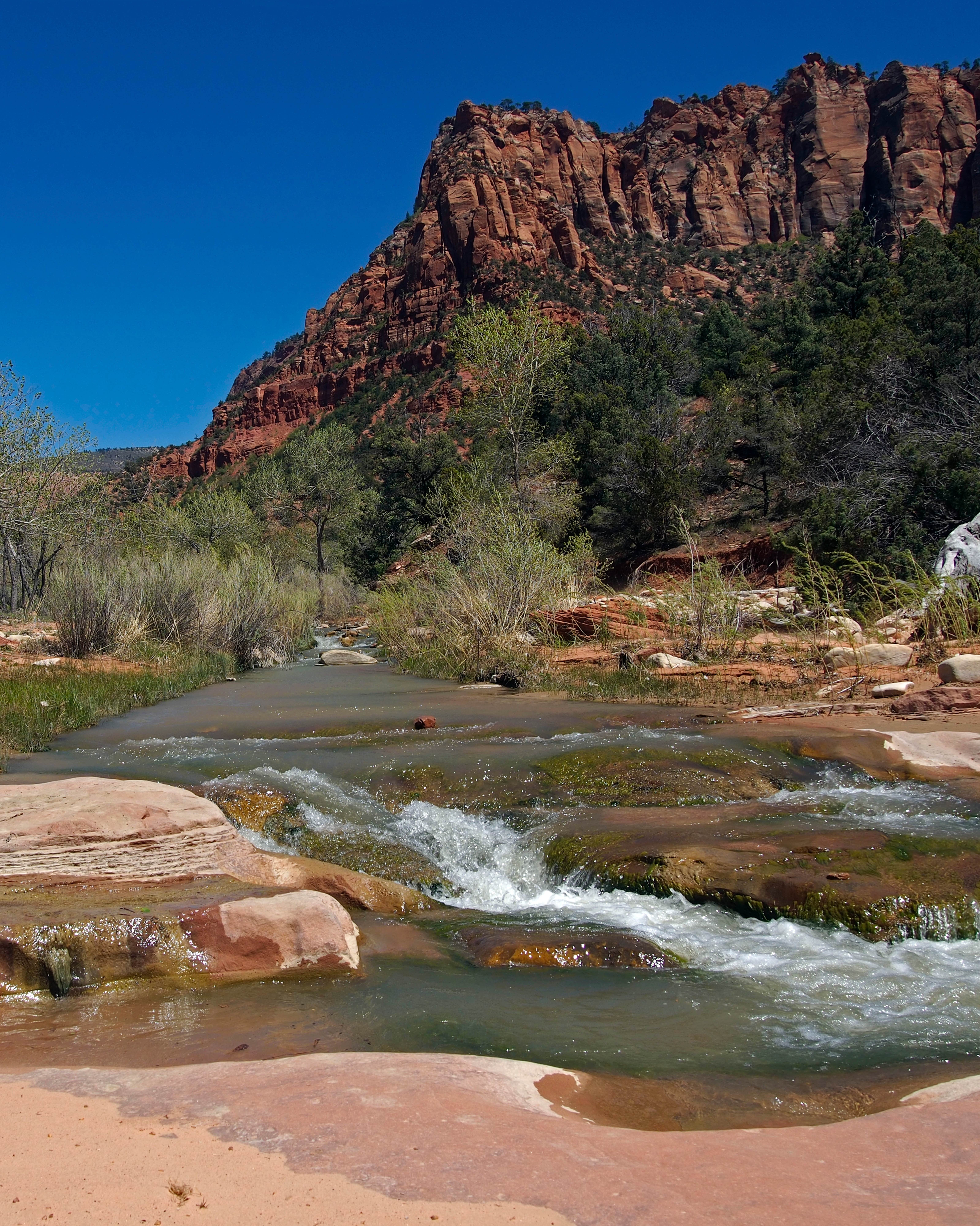 Camper-submitted photo at La Verkin Creek Trail Campsites — Zion National Park near Brian Head, UT