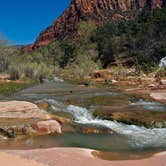 Review photo of La Verkin Creek Trail Campsites — Zion National Park by Chris C., April 4, 2018