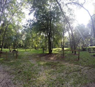 Camper-submitted photo from Green Swamp — West Tract