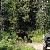 Review photo of Elk Creek Campground by KIM V., July 31, 2020