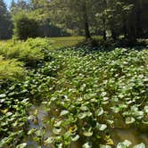 Review photo of Elk Country RV Resort & Campground by Jessica N., July 31, 2020