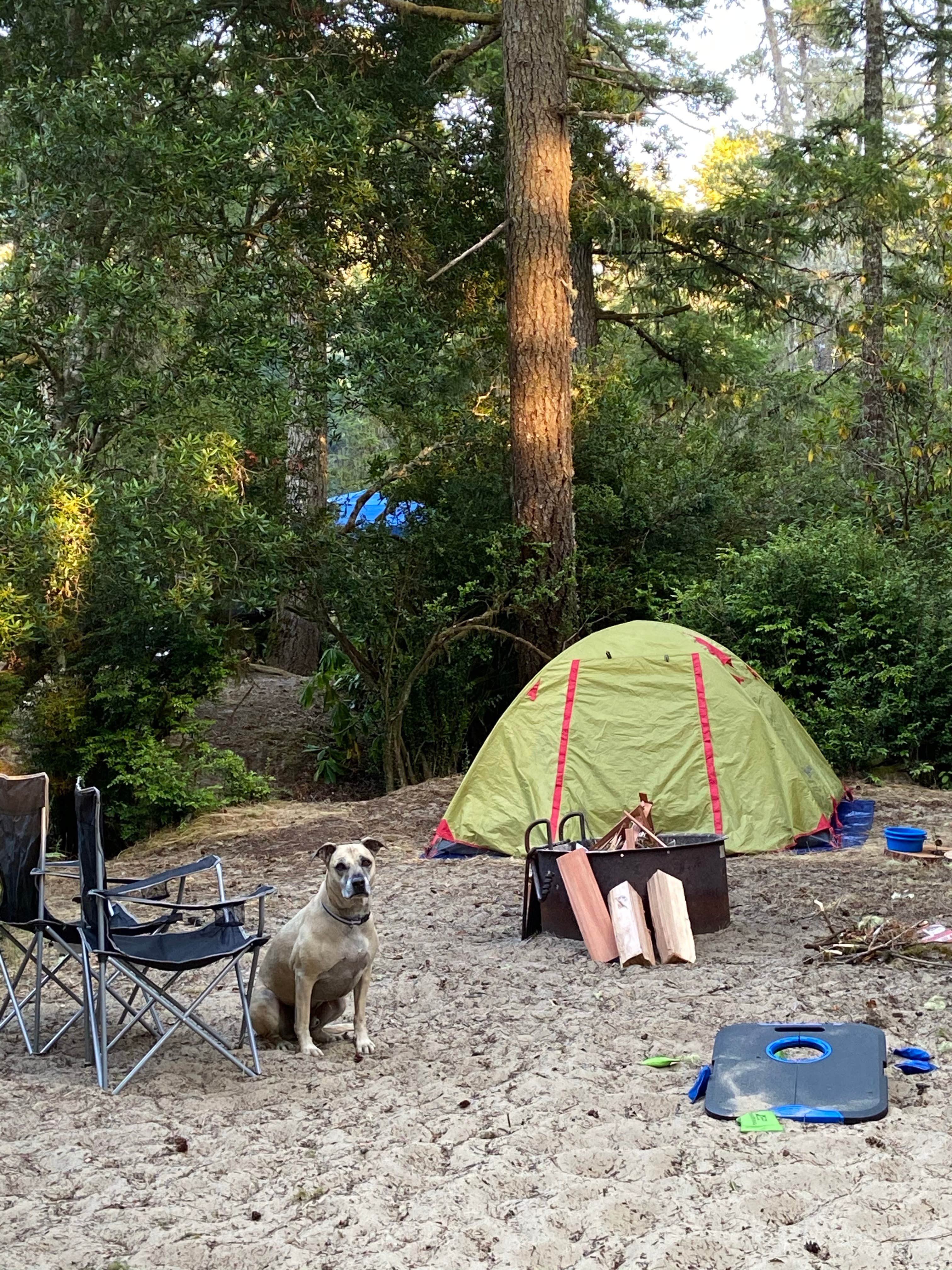 Jessica N.'s photo at Eel Creek Campground near North Bend, OR