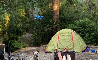 Jessica N.'s photo at Eel Creek Campground near North Bend, OR