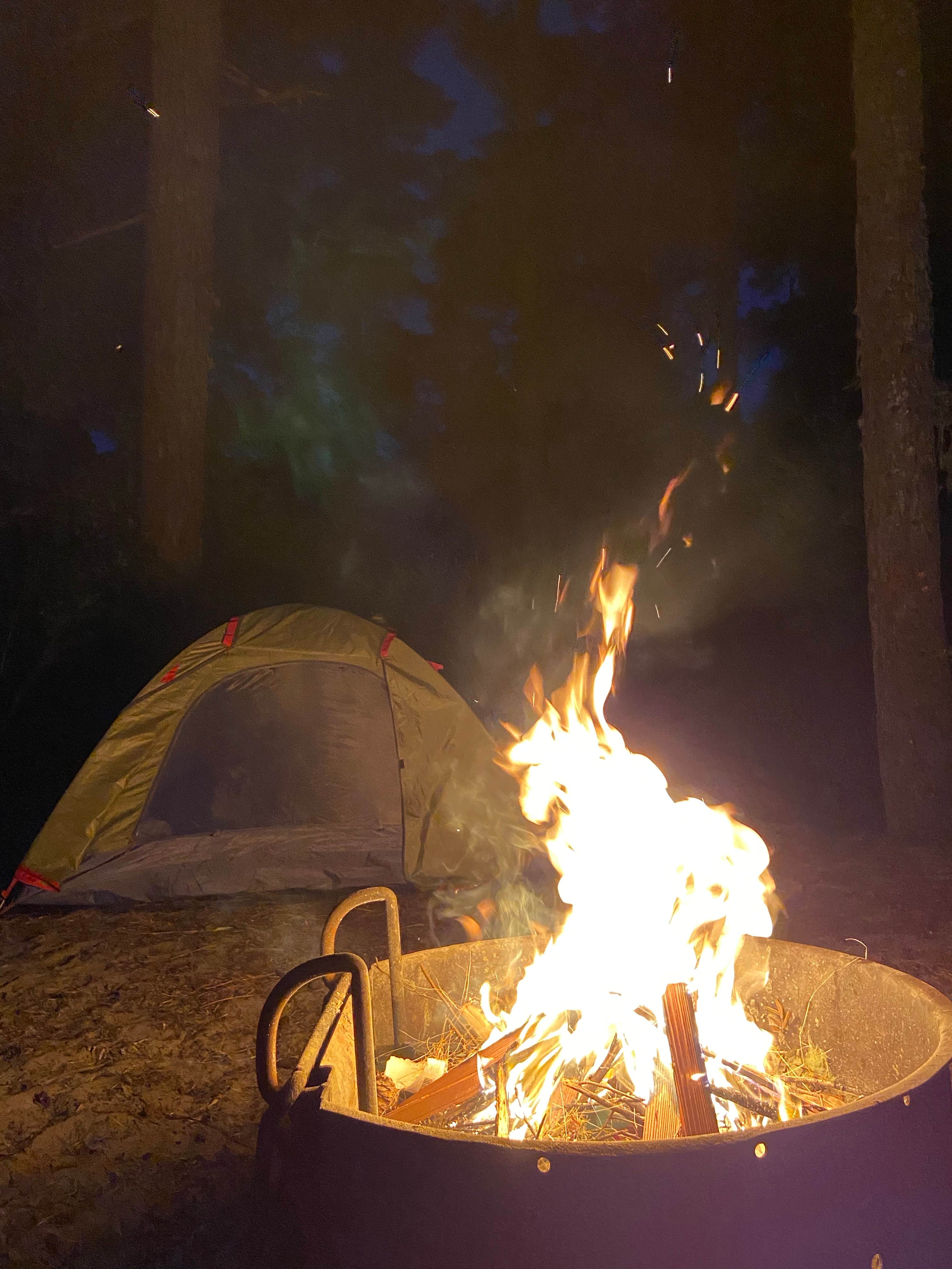 Jessica N.'s photo at Eel Creek Campground near Reedsport, OR
