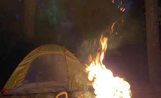 Jessica N.'s photo at Eel Creek Campground near Reedsport, OR
