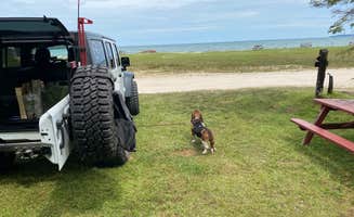 Brian N.'s photo of camping with pets at Castle Rock Lakeview Campground near Mackinaw City, MI