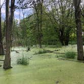 Review photo of Maumee Bay State Park Campground by Andrea F., June 21, 2020