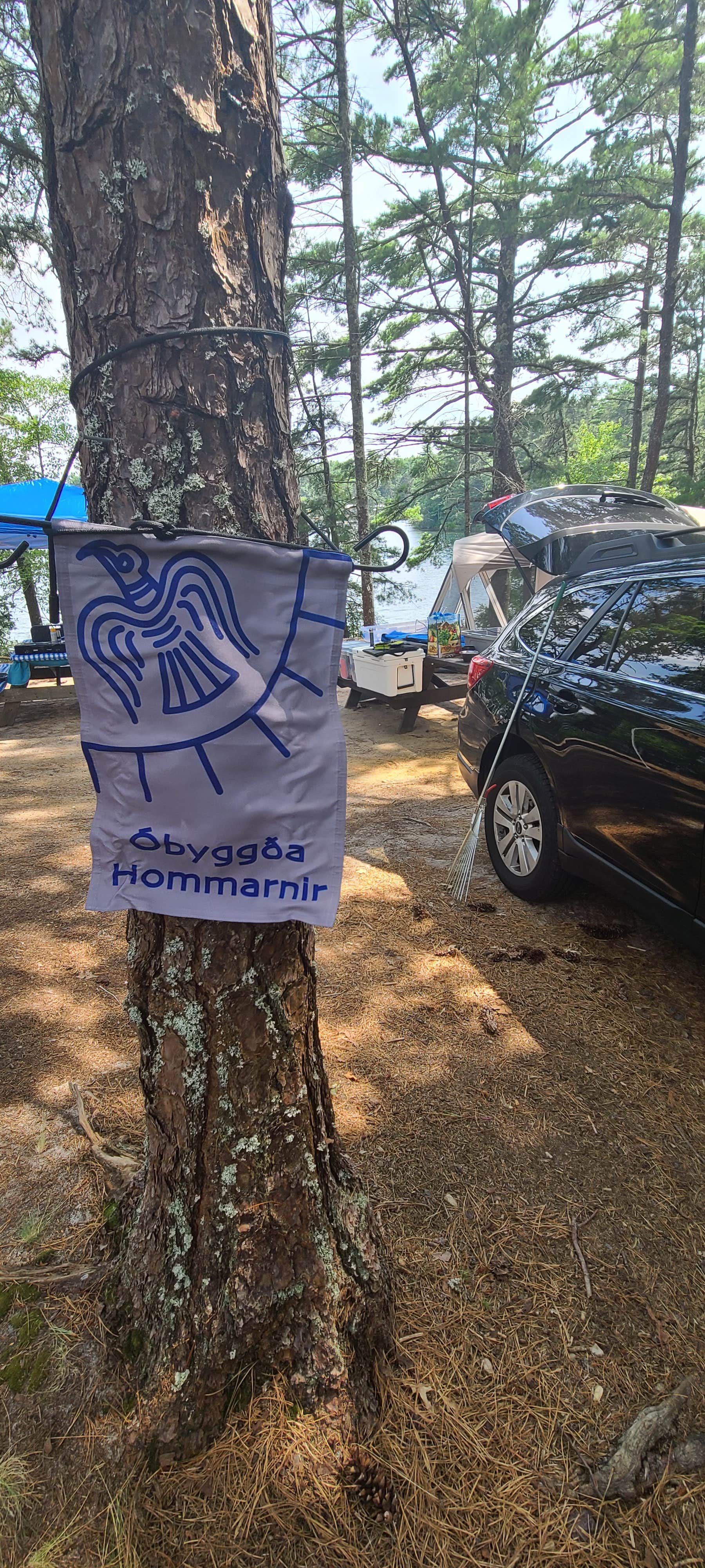 Camper-submitted photo at Curlew Pond Campground — Myles Standish State Forest near Marshfield, MA