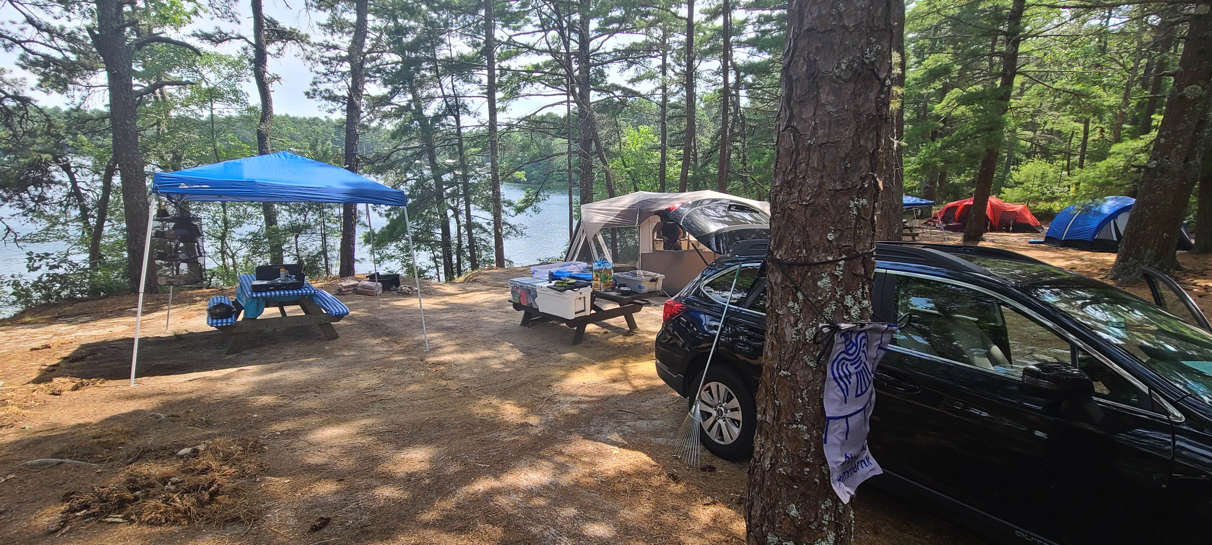Camper-submitted photo at Curlew Pond Campground — Myles Standish State Forest near Marshfield, MA