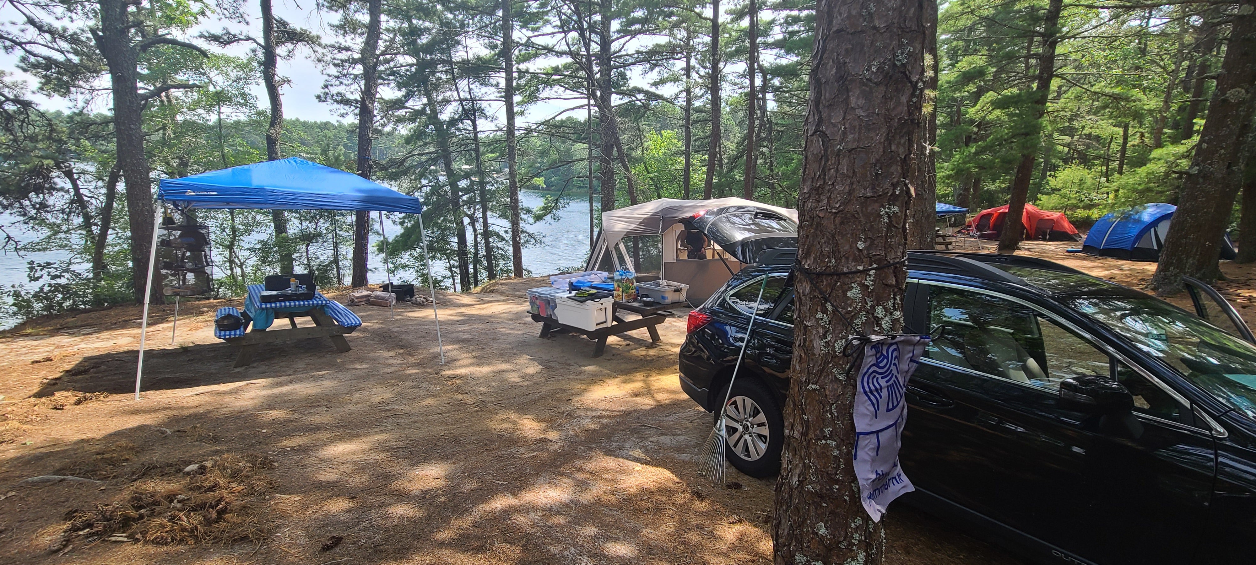 Camper submitted image from Curlew Pond Campground — Myles Standish State Forest - 2