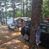 Review photo of Curlew Pond Campground — Myles Standish State Forest by Timothey S., July 31, 2020