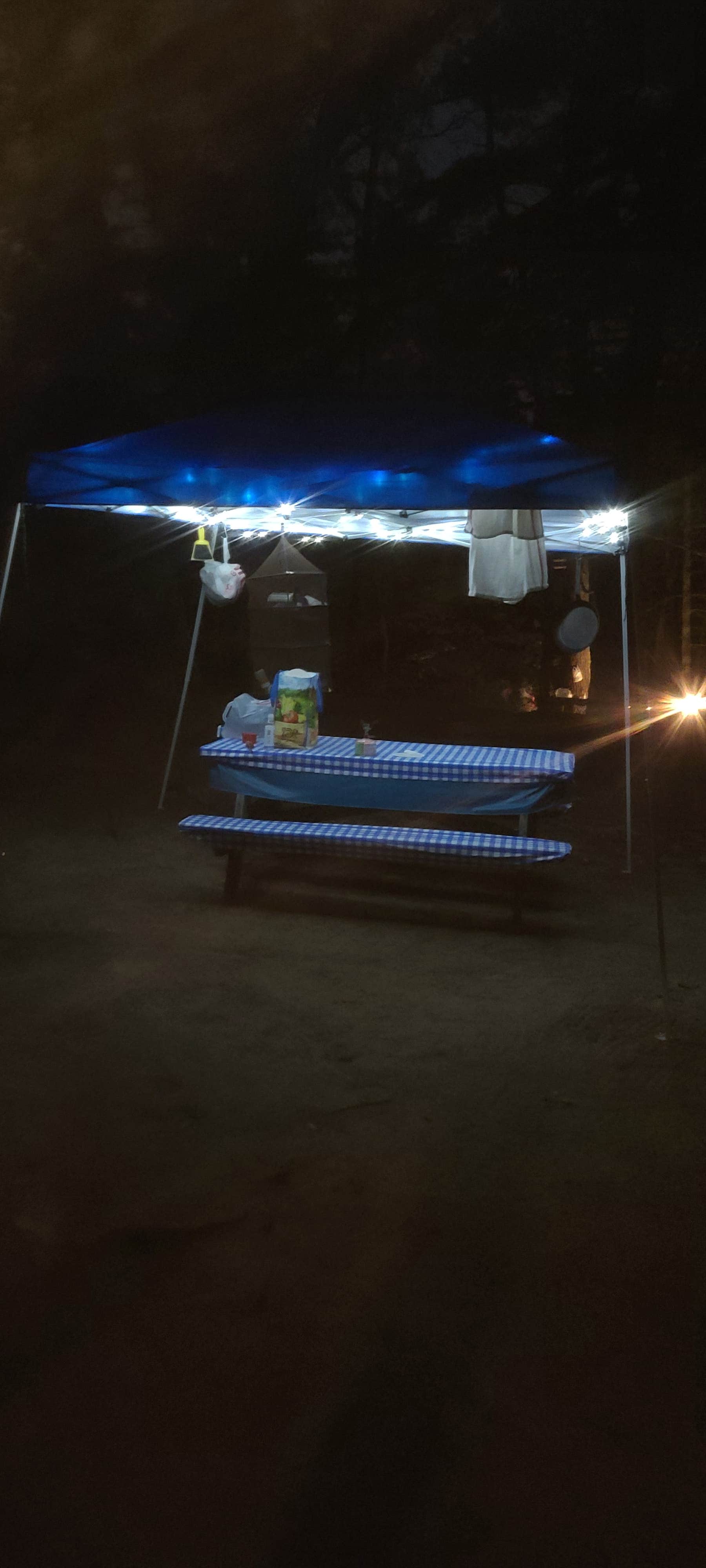 Camper-submitted photo at Curlew Pond Campground — Myles Standish State Forest near Marshfield, MA