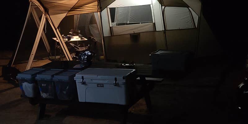 Camper submitted image from Curlew Pond Campground — Myles Standish State Forest