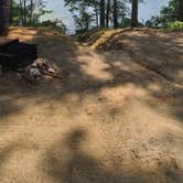 Review photo of Curlew Pond Campground — Myles Standish State Forest by Timothey S., July 31, 2020