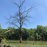 Review photo of Deer Creek State Park Campground by Andrea F., June 21, 2020