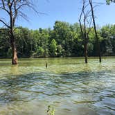 Review photo of Deer Creek State Park Campground by Andrea F., June 21, 2020