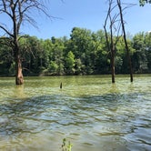 Review photo of Deer Creek State Park Campground by Andrea F., June 21, 2020