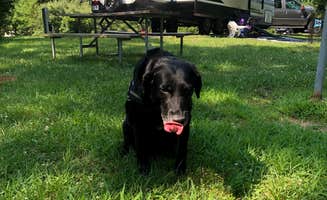 Andrea F.'s photo of rv camping at Deer Creek State Park Campground near Amlin, OH