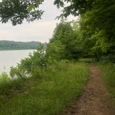 Review photo of Salt Fork State Park Campground by Andrea F., June 20, 2020