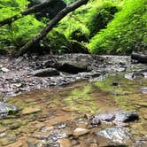 Review photo of Salt Fork State Park Campground by Andrea F., June 20, 2020