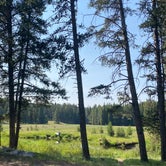 Review photo of Island Park Campground by Zach R., July 31, 2020