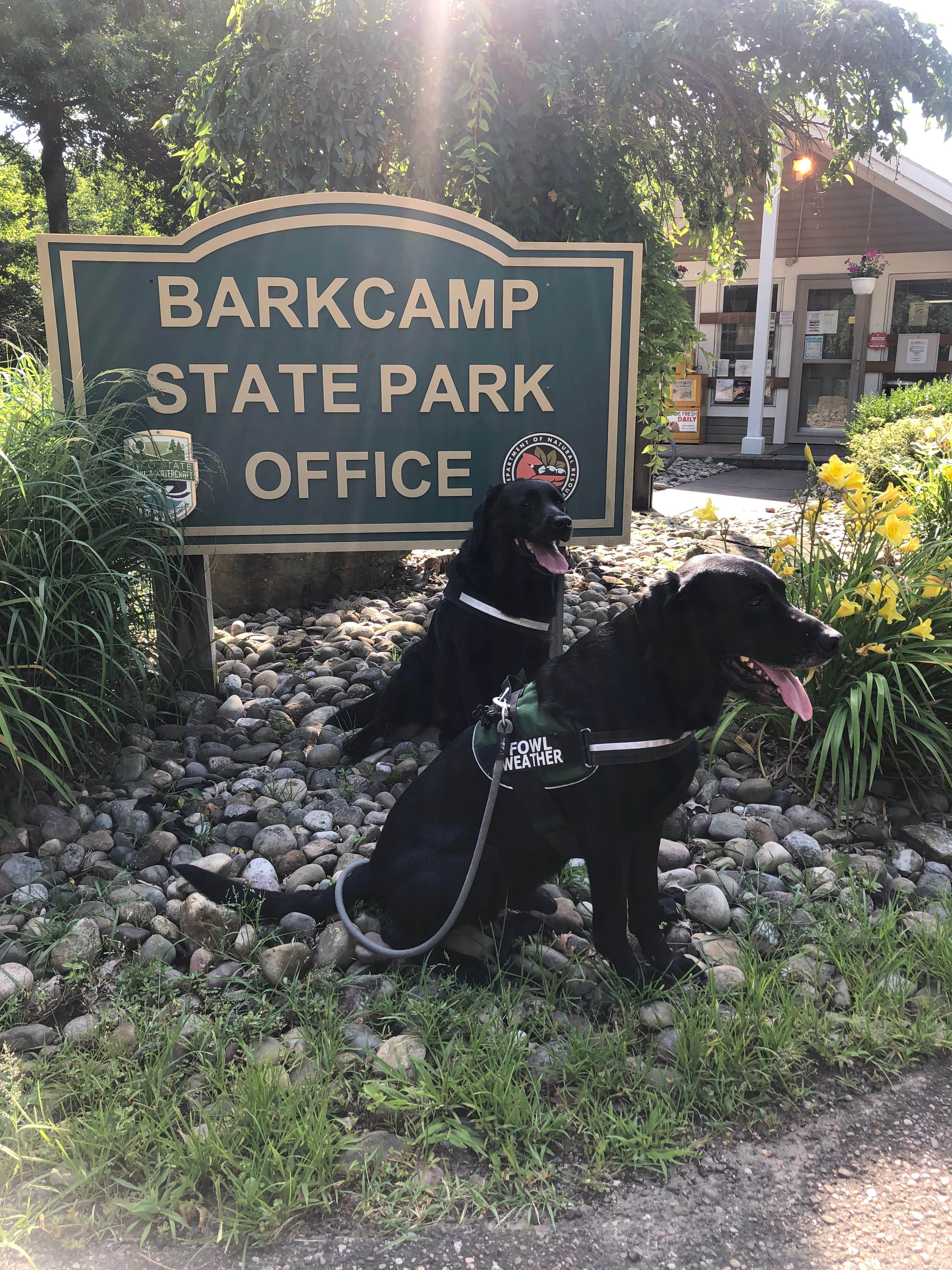 Camper-submitted photo at Barkcamp State Park Campground near Washington, PA