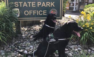 Andrea F.'s photo of camping with pets at Barkcamp State Park Campground near Caldwell, OH