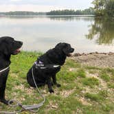 Review photo of Lake Loramie State Park Campground by Andrea F., June 20, 2020