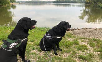 Andrea F.'s photo of camping with pets at Lake Loramie State Park Campground near Lima, OH