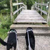 Review photo of Lake Loramie State Park Campground by Andrea F., June 20, 2020